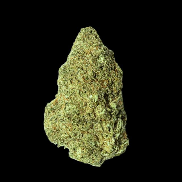 CM 25/1 SKC Sun County Kush
