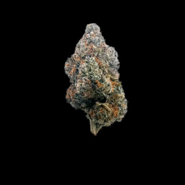Luana 20/1 GSC Girl Scout Cookies