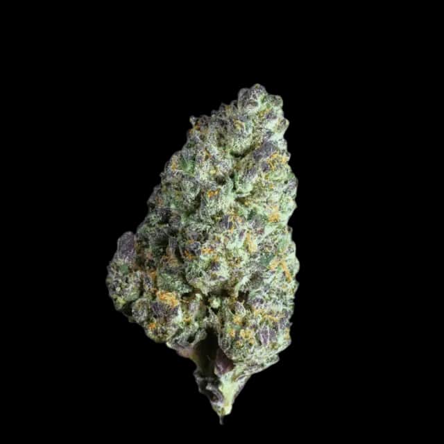 Luana 24/1 Delight Carnez Citric