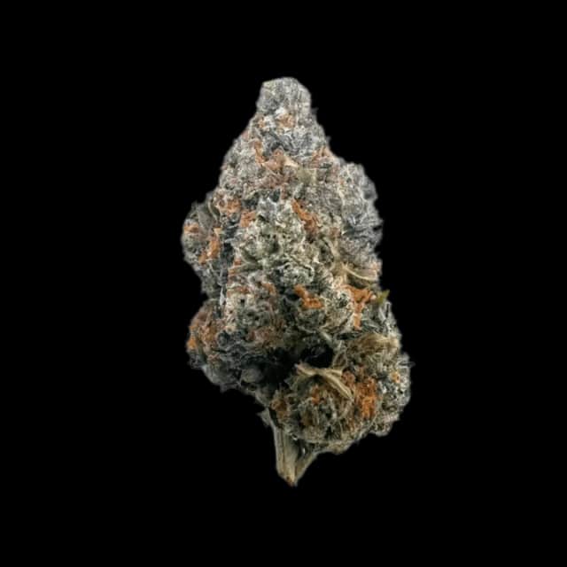 Luana 24/1 GSC Girl Scout Cookies
