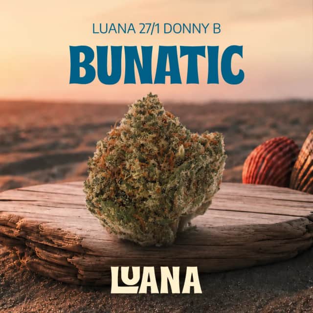 Luana 27/1 Donny B Bunatic