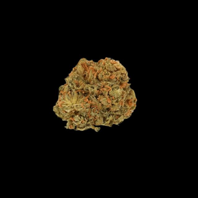 Luana 32/1 Pine Solpina Magic