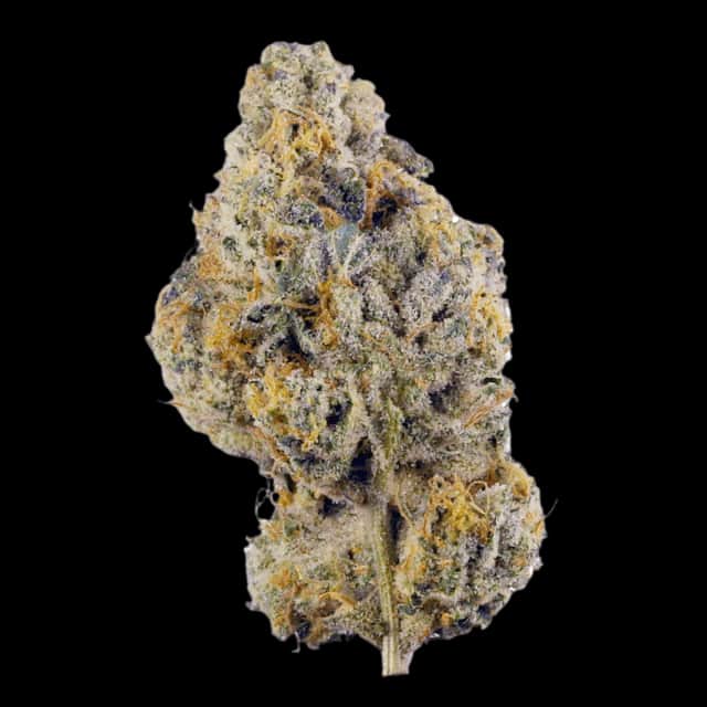 Luana Kush 24/1 Hippie Kush